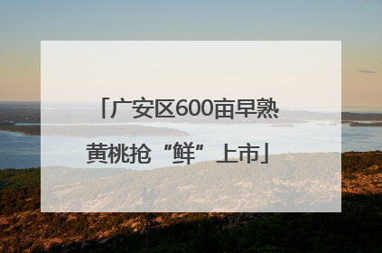 广安区600亩早熟黄桃抢“鲜”上市