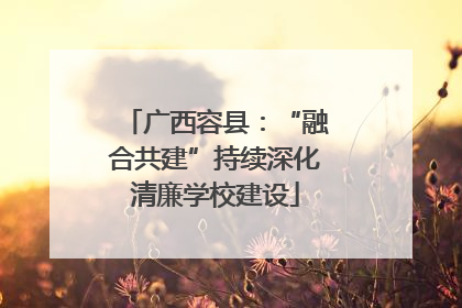 广西容县：“融合共建”持续深化清廉学校建设
