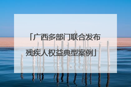 广西多部门联合发布残疾人权益典型案例