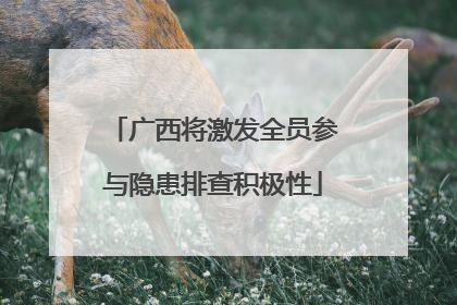 广西将激发全员参与隐患排查积极性