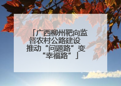 广西柳州靶向监督农村公路建设 推动“问题路”变“幸福路”