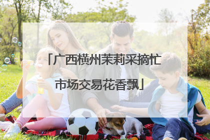 广西横州茉莉采摘忙 市场交易花香飘