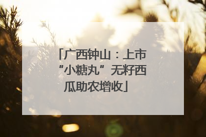 广西钟山：上市“小糖丸”无籽西瓜助农增收