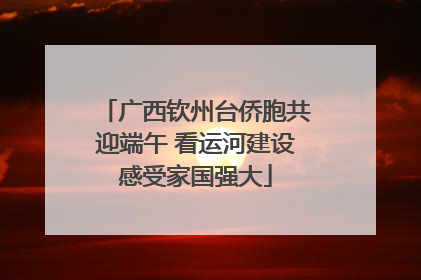 广西钦州台侨胞共迎端午 看运河建设感受家国强大