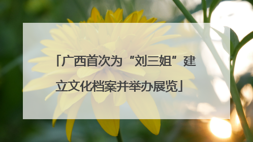 广西首次为“刘三姐”建立文化档案并举办展览