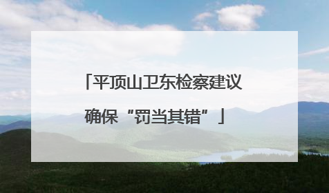 平顶山卫东检察建议确保“罚当其错”