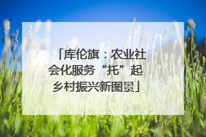 库伦旗：农业社会化服务“托”起乡村振兴新图景