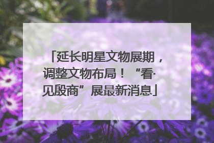 延长明星文物展期，调整文物布局！“看·见殷商”展最新消息