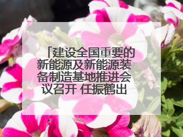 建设全国重要的新能源及新能源装备制造基地推进会议召开 任振鹤出席并讲话