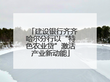 建设银行齐齐哈尔分行以“特色农业贷”激活产业新动能