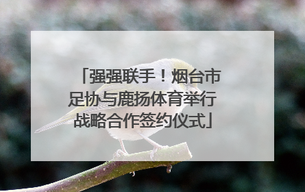 强强联手！烟台市足协与鹿扬体育举行战略合作签约仪式
