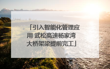 引入智能化管理应用 武松高速杨家湾大桥架梁提前完工