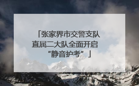 张家界市交警支队直属二大队全面开启“静音护考”