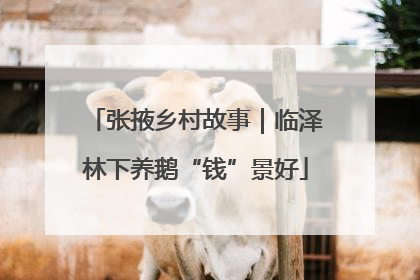 张掖乡村故事｜临泽林下养鹅“钱”景好