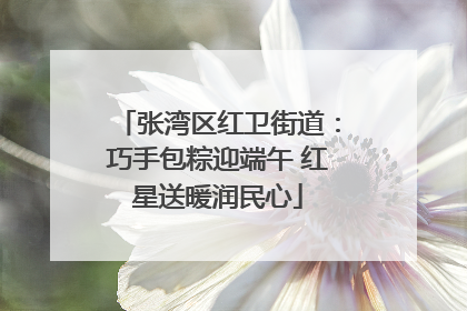 张湾区红卫街道：巧手包粽迎端午 红星送暖润民心