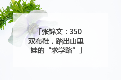 张锦文：350双布鞋，踏出山里娃的“求学路”