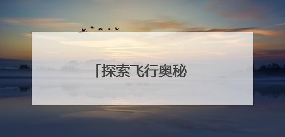 探索飞行奥秘 共享亲子时光