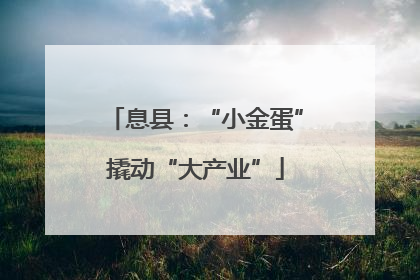 息县：“小金蛋”撬动“大产业”