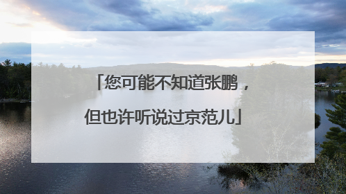 您可能不知道张鹏，但也许听说过京范儿