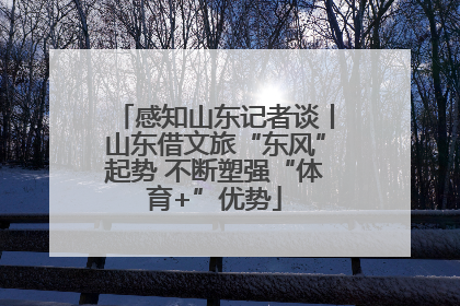 感知山东记者谈丨山东借文旅“东风”起势 不断塑强“体育+”优势