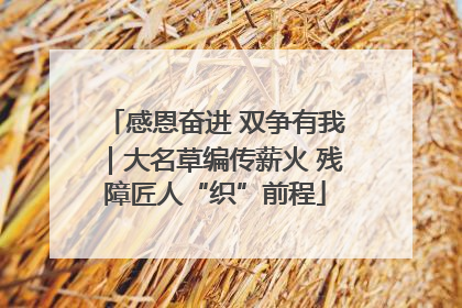 感恩奋进 双争有我｜大名草编传薪火 残障匠人“织”前程