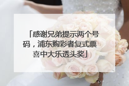 感谢兄弟提示两个号码，浦东购彩者复式票喜中大乐透头奖