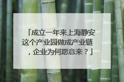 成立一年来上海静安这个产业园做成产业链，企业为何愿意来？