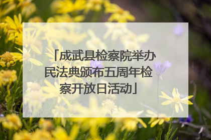 成武县检察院举办民法典颁布五周年检察开放日活动