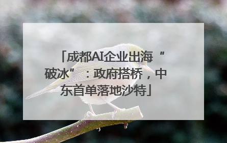 成都AI企业出海“破冰”：政府搭桥，中东首单落地沙特