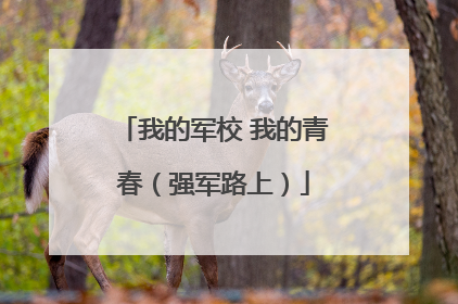 我的军校 我的青春（强军路上）