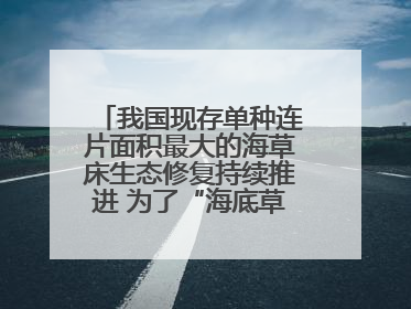 我国现存单种连片面积最大的海草床生态修复持续推进 为了“海底草原”更繁茂