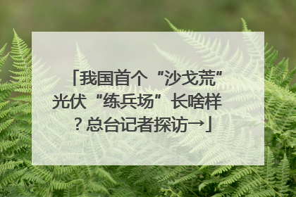 我国首个“沙戈荒”光伏“练兵场”长啥样？总台记者探访→