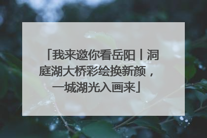 我来邀你看岳阳丨洞庭湖大桥彩绘换新颜，一城湖光入画来