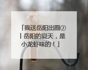 我送岳阳出圈⑦丨岳阳的夏天，是小龙虾味的！