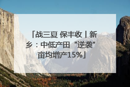 战三夏 保丰收丨新乡：中低产田“逆袭” 亩均增产15%
