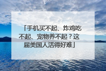 手机买不起、炸鸡吃不起、宠物养不起？这届美国人活得好难