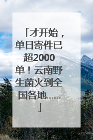 才开始，单日寄件已超2000单！云南野生菌火到全国各地……