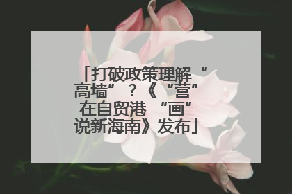 打破政策理解“高墙”？《“营”在自贸港 “画”说新海南》发布
