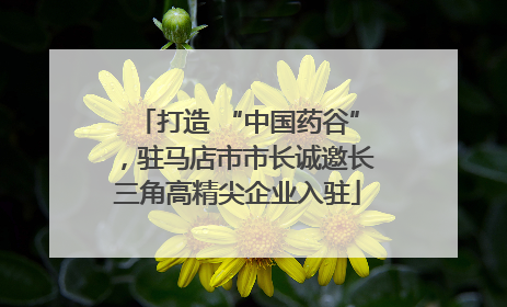 打造 “中国药谷”，驻马店市市长诚邀长三角高精尖企业入驻