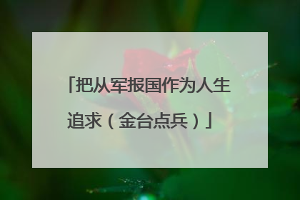 把从军报国作为人生追求（金台点兵）