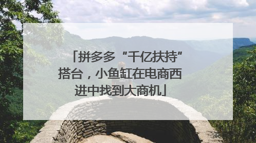 拼多多“千亿扶持”搭台，小鱼缸在电商西进中找到大商机