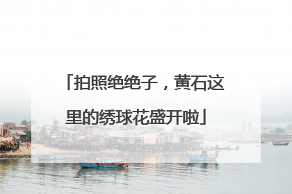 拍照绝绝子，黄石这里的绣球花盛开啦