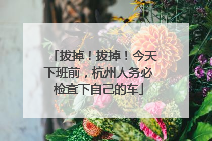 拔掉！拔掉！今天下班前，杭州人务必检查下自己的车