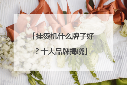 挂烫机什么牌子好?十大品牌揭晓