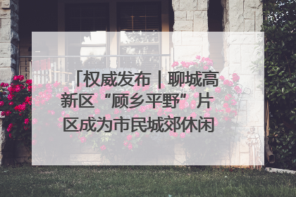 权威发布｜聊城高新区“顾乡平野”片区成为市民城郊休闲全新目的地