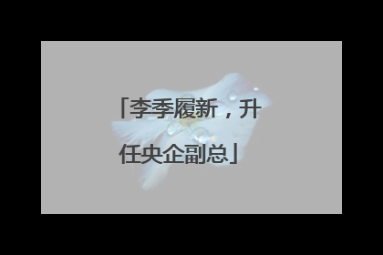 李季履新，升任央企副总