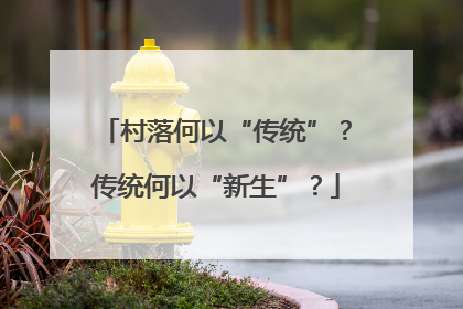 村落何以“传统”？传统何以“新生”？