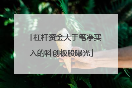 杠杆资金大手笔净买入的科创板股曝光