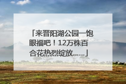 来晋阳湖公园一饱眼福吧！12万株百合花热烈绽放……