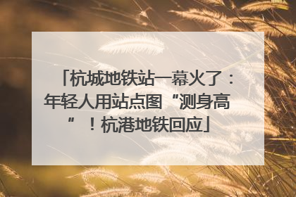 杭城地铁站一幕火了：年轻人用站点图“测身高”！杭港地铁回应